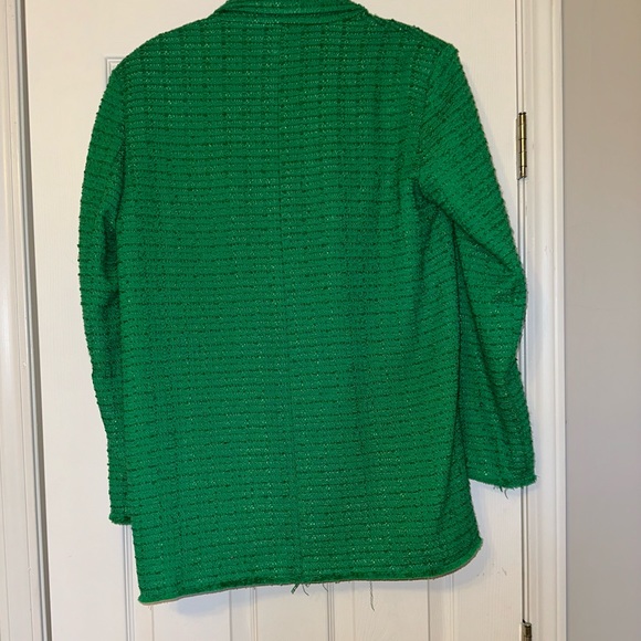 ZARA | Textured Double Breasted Blazer - Picture 5 of 8